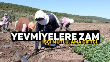 Tarsus’ta Tarımda işçi yevmiyesi 100 lira oldu