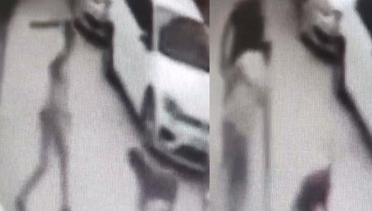 Sokak ortasında köpeği kemerle dövdü!
