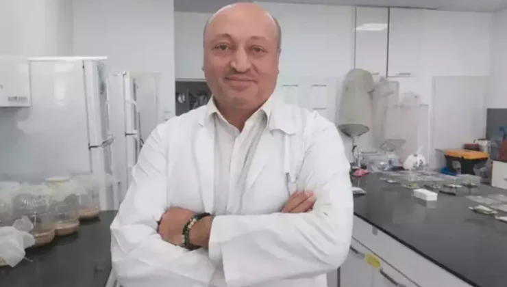 Türkiye’yi saran kokarca kabusu için korkutan değerlendirme: Yok etme şansımız yok